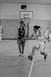 Basket C321119